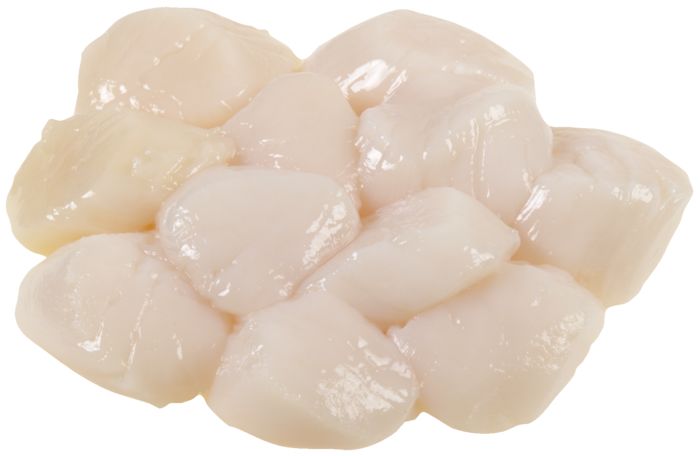 Fresh Wild Sea Scallops