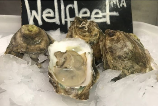 Live Wellfleet Oysters